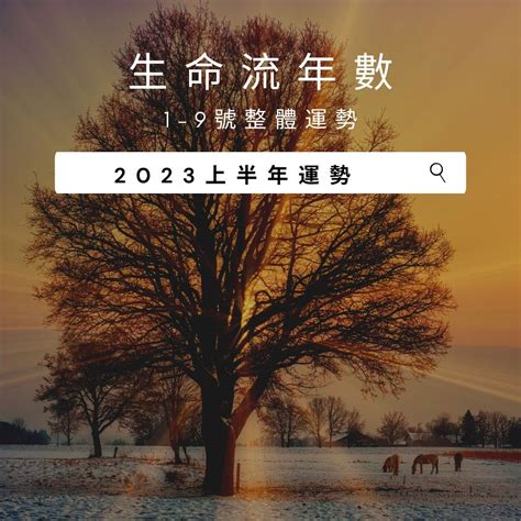 2023生命靈數流年5|V生命靈數／ 2023上半年【整體運勢】分析&生命流年。